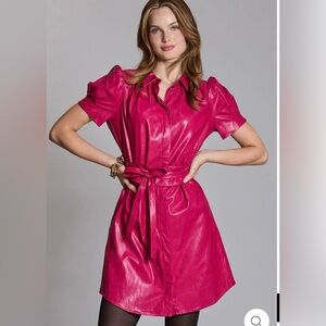 NWT Tyler Boe Vegan Leather Dress - 12